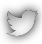 Connect with Azunga Web Design in Portland on Twitter